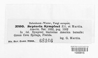 Septoria symploci image